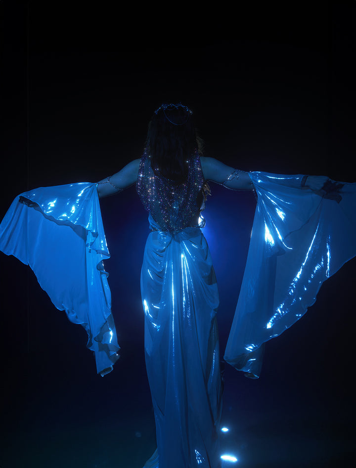 Celestial Wedding Veil