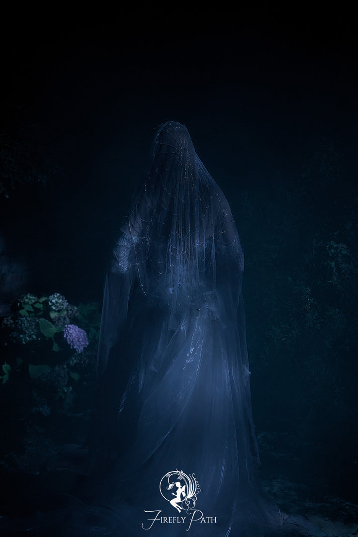 Spiderweb Veil